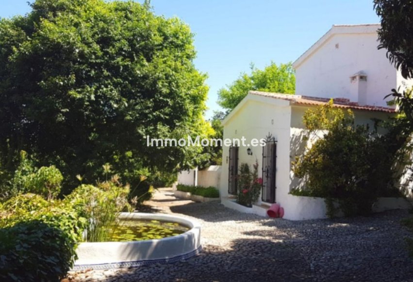 Revente - Maison de campagne - Intérieur                       - Alhaurín de la Torre