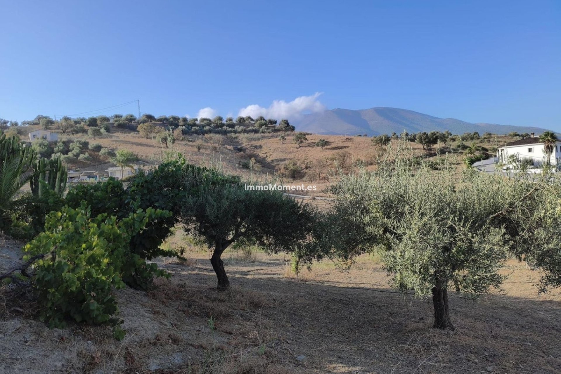 Revente - Maison de campagne - Intérieur                       - Alhaurín el Grande Centro