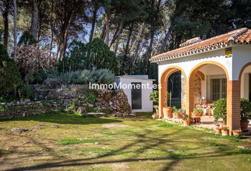 Revente - Maison de campagne - Intérieur                       - Alhaurín el Grande Centro