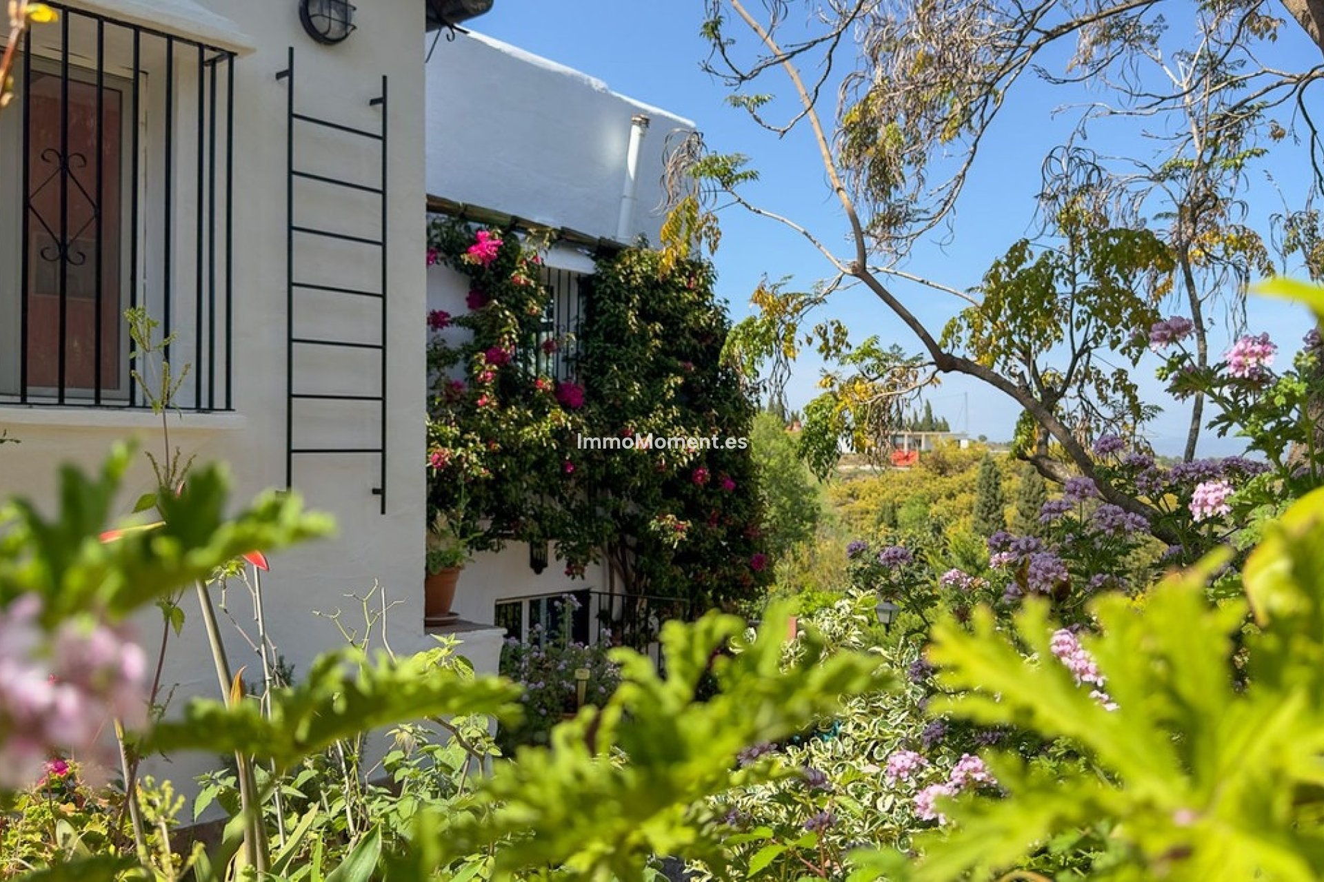 Revente - Maison de campagne - Intérieur                       - Alhaurín el Grande Centro