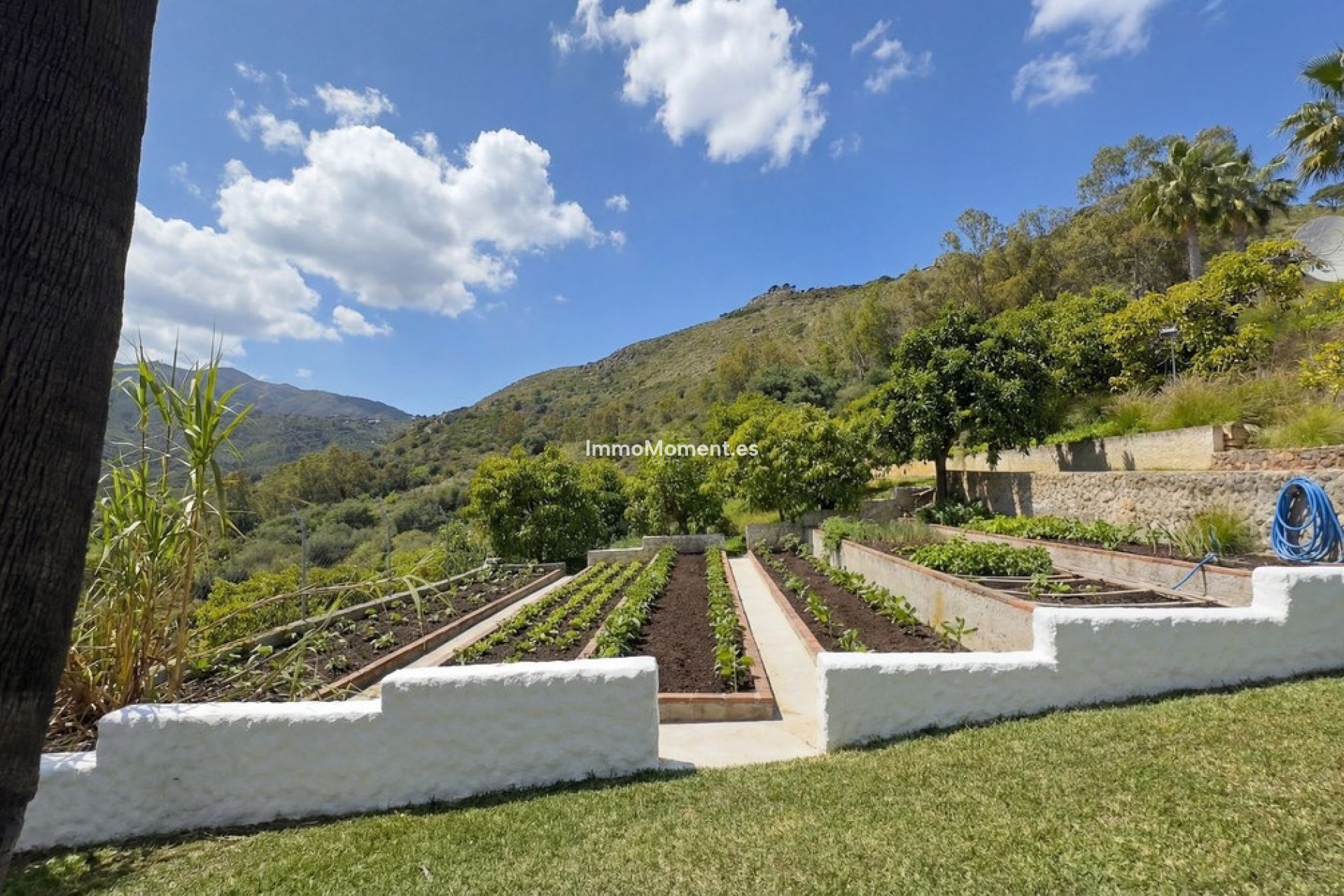 Revente - Maison de campagne - Intérieur                       - Alhaurín el Grande Centro