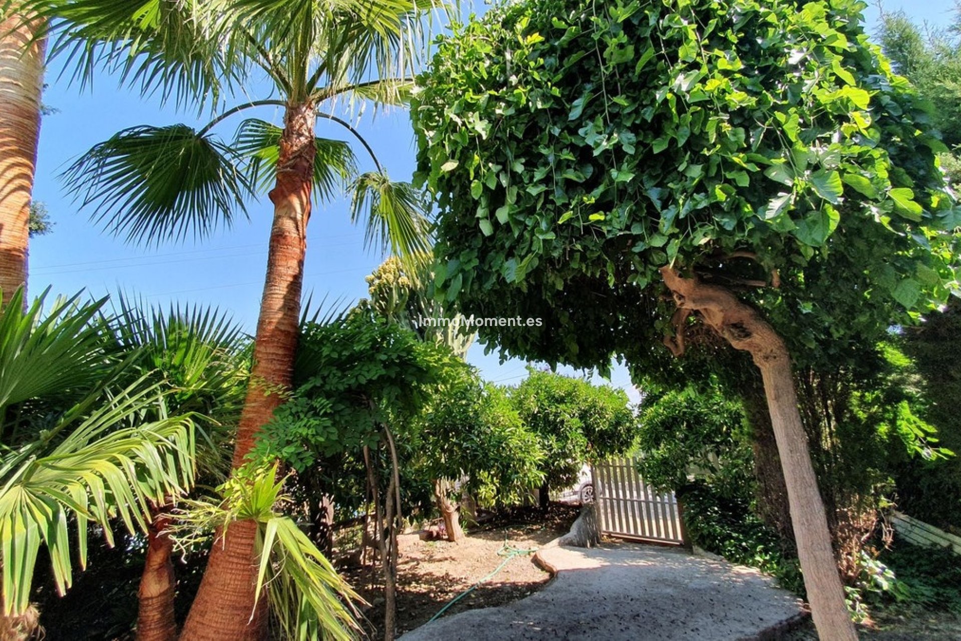 Revente - Maison de campagne - Intérieur                       - Alhaurín el Grande Centro
