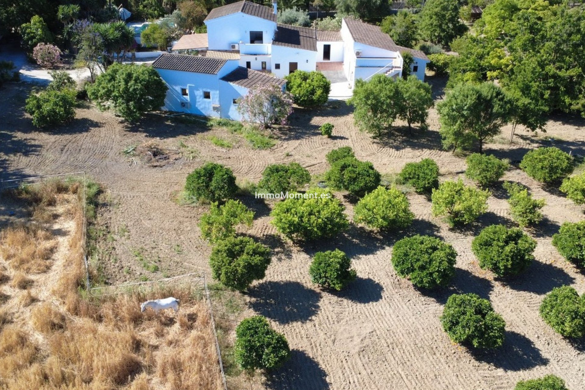 Revente - Maison de campagne - Intérieur                       - Alhaurín el Grande Centro
