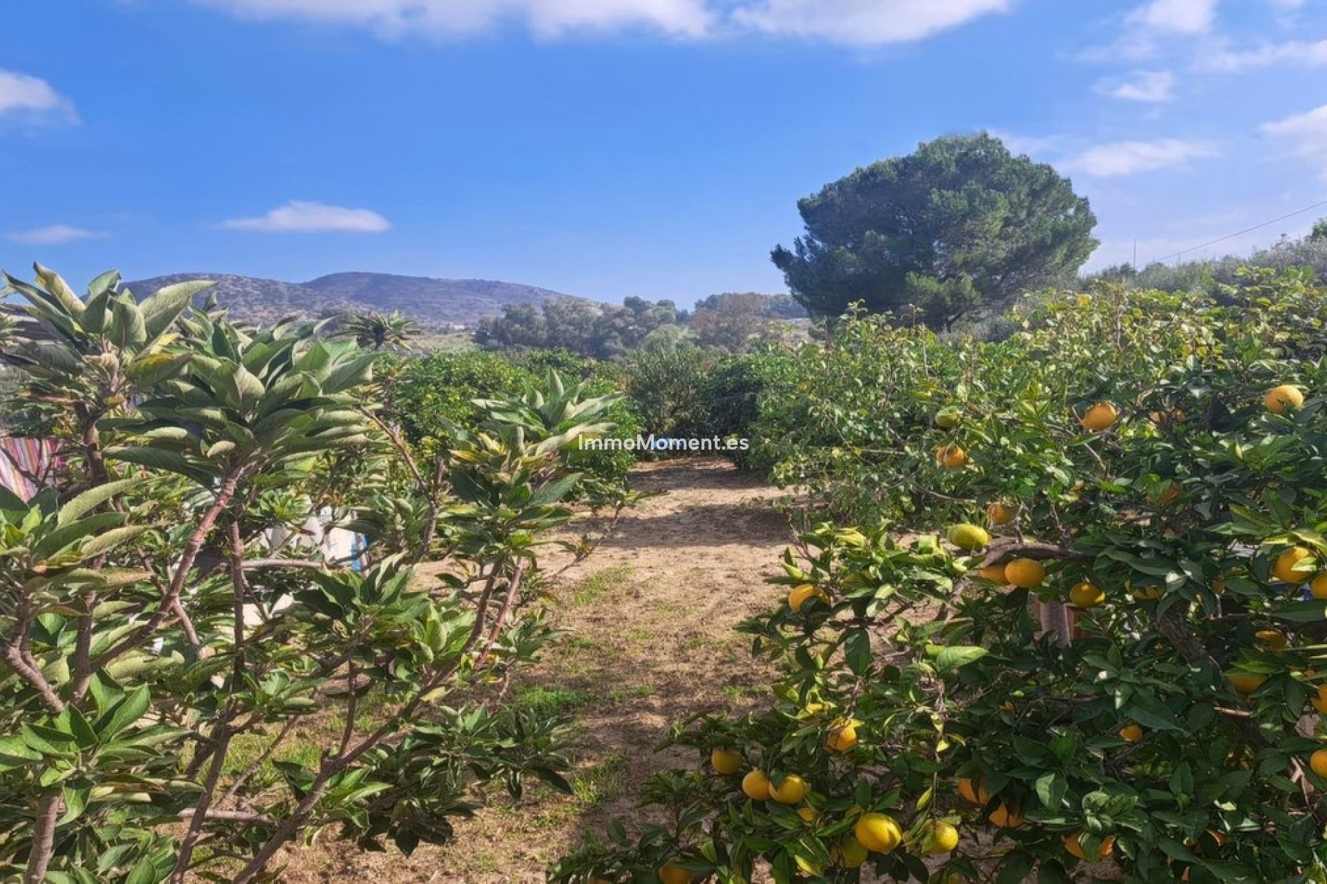 Revente - Maison de campagne - Intérieur                       - Alhaurín el Grande Centro