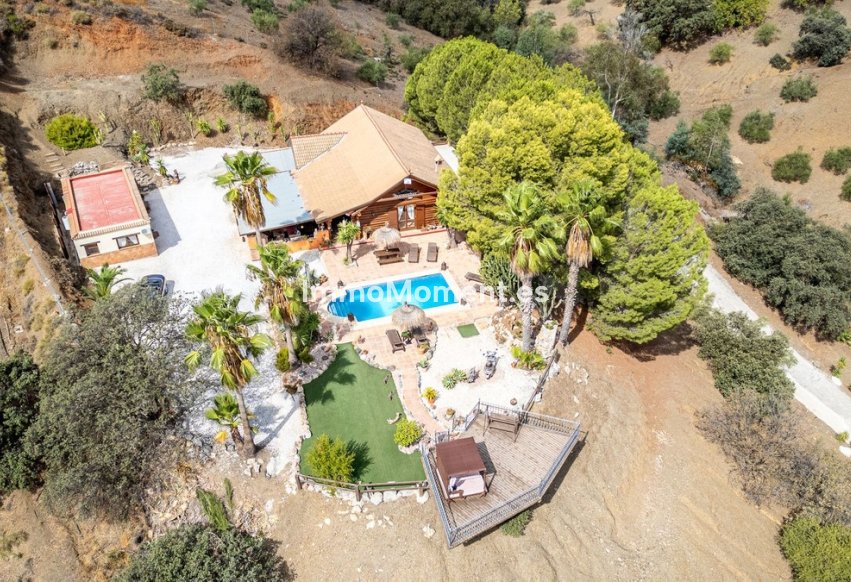 Revente - Maison de campagne - Intérieur                       - Alhaurín el Grande Centro