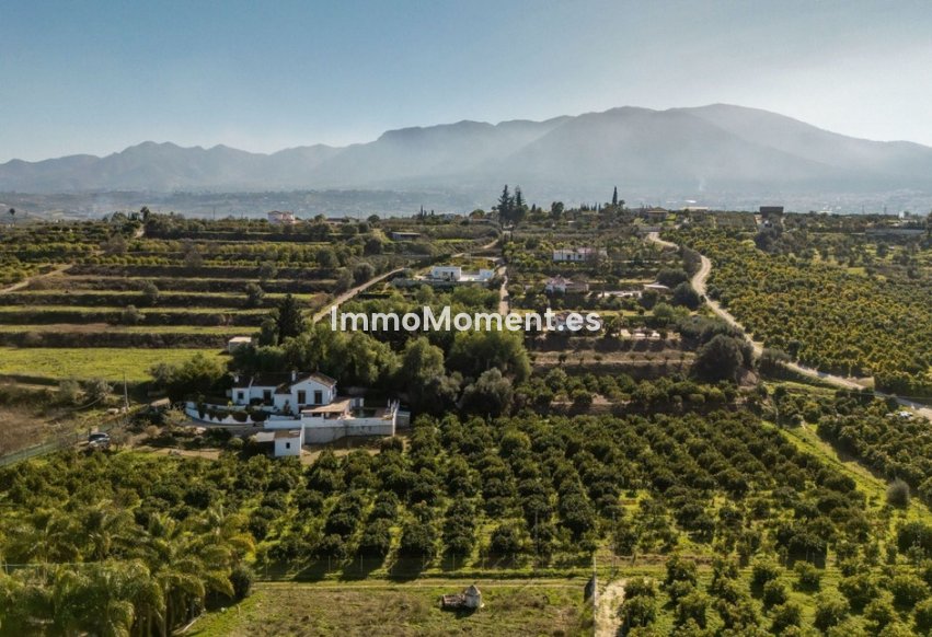 Revente - Maison de campagne - Intérieur                       - Alhaurín el Grande Centro