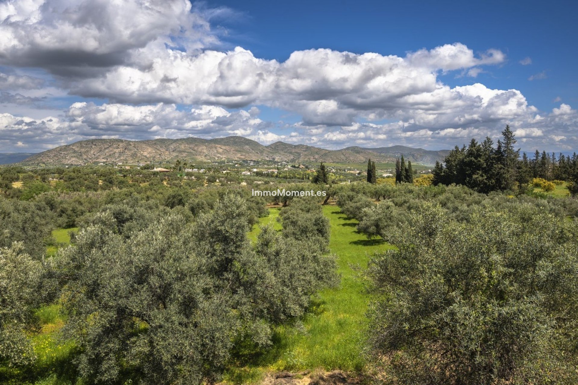 Revente - Maison de campagne - Intérieur                       - Alhaurín el Grande Centro