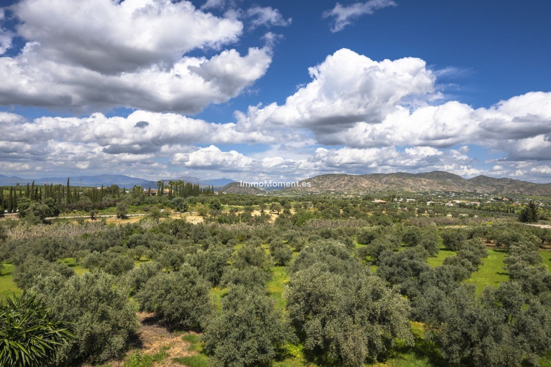 Revente - Maison de campagne - Intérieur                       - Alhaurín el Grande Centro