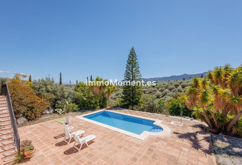 Revente - Maison de campagne - Intérieur                       - Alhaurín el Grande Centro