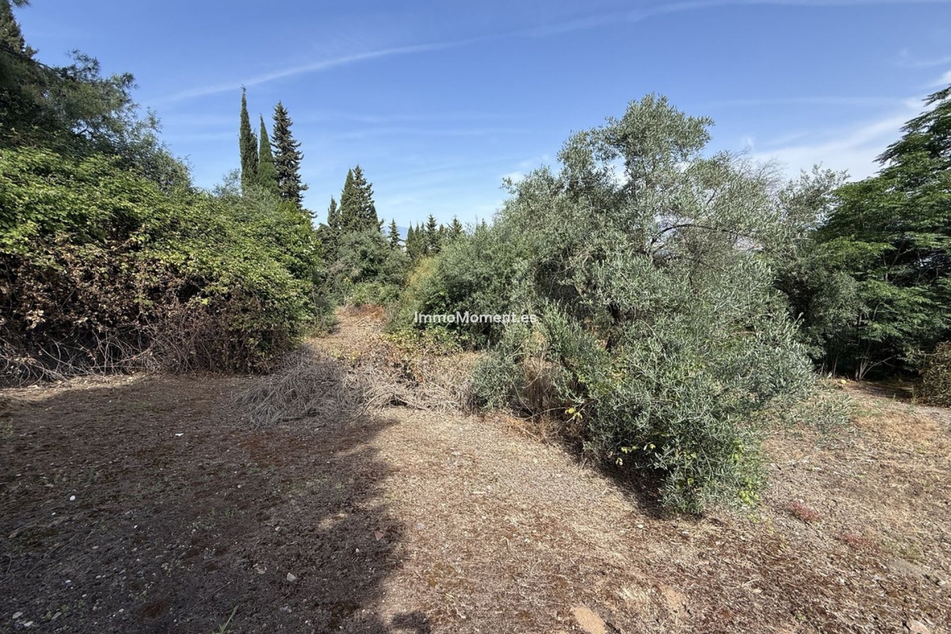 Revente - Maison de campagne - Intérieur                       - Alhaurín el Grande Centro