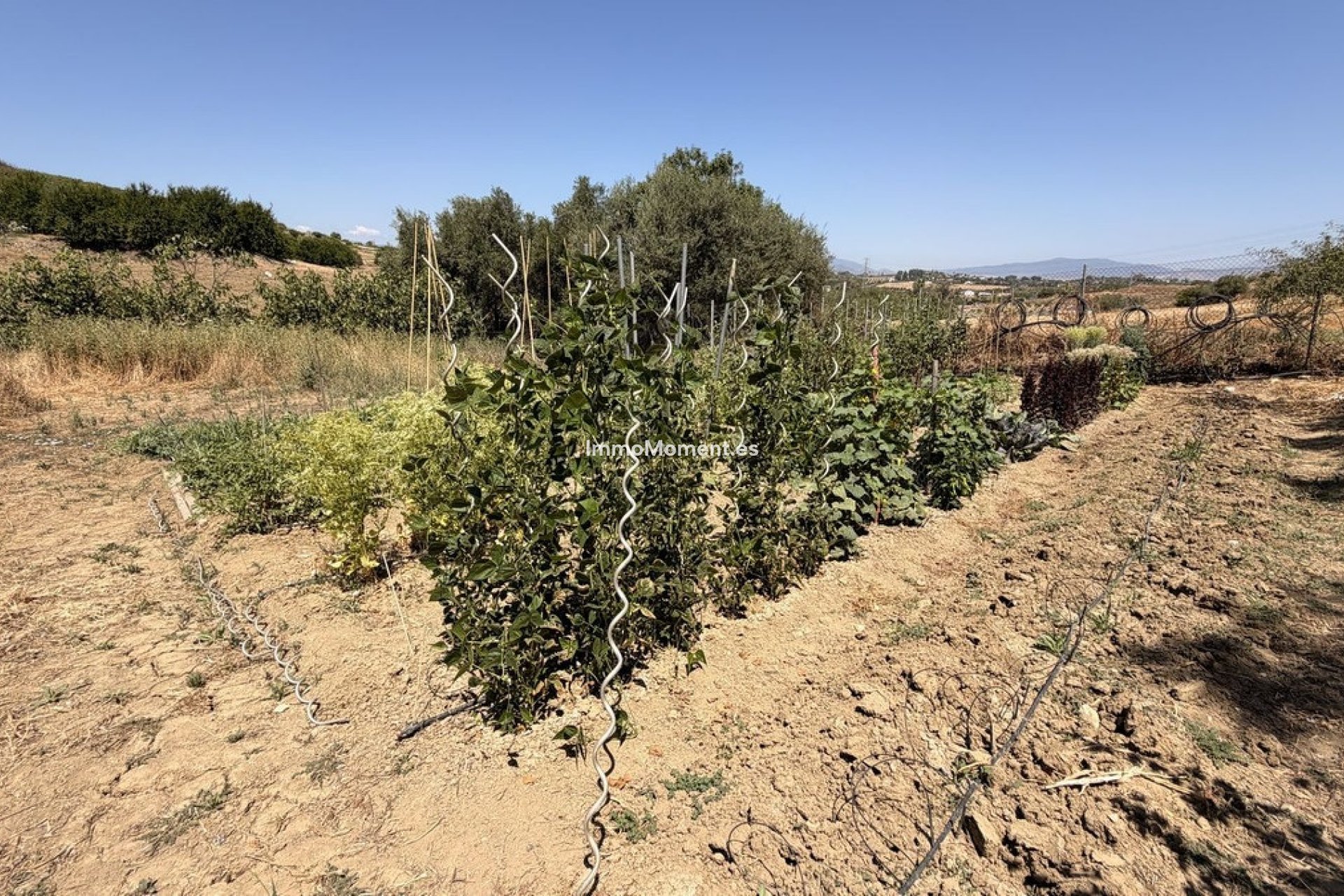 Revente - Maison de campagne - Intérieur                       - Alhaurín el Grande Centro