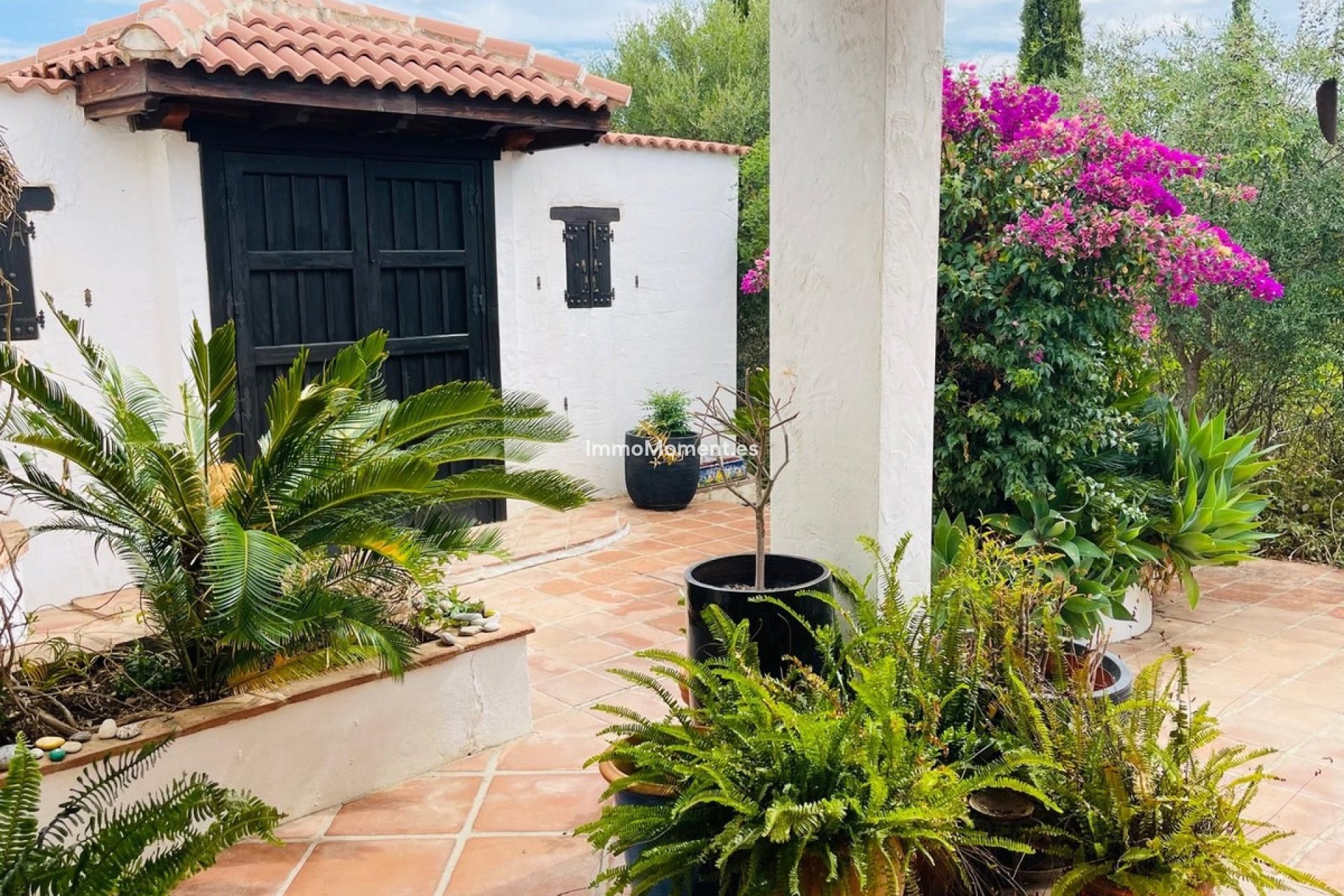 Revente - Maison de campagne - Intérieur                       - Almogía