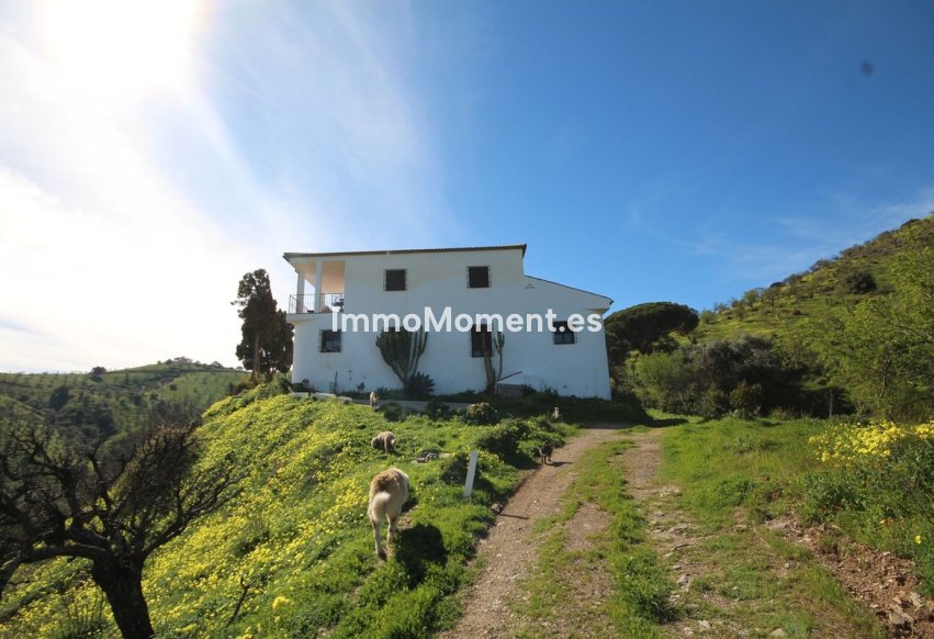 Revente - Maison de campagne - Intérieur                       - Almogía