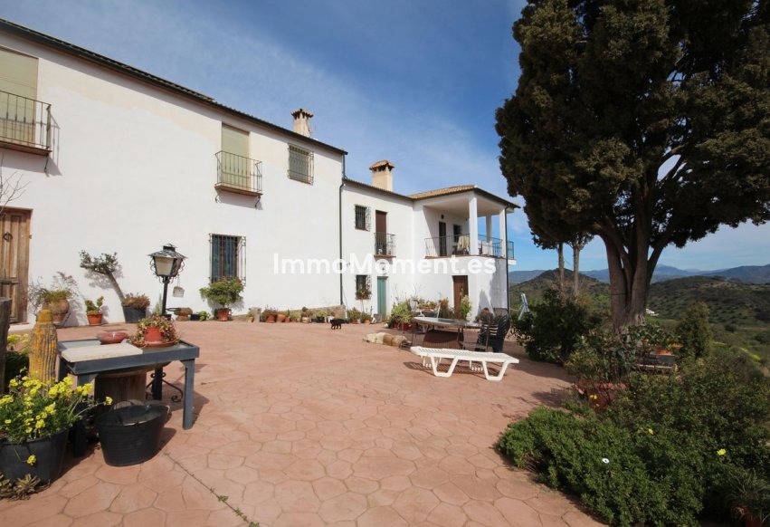 Revente - Maison de campagne - Intérieur                       - Almogía