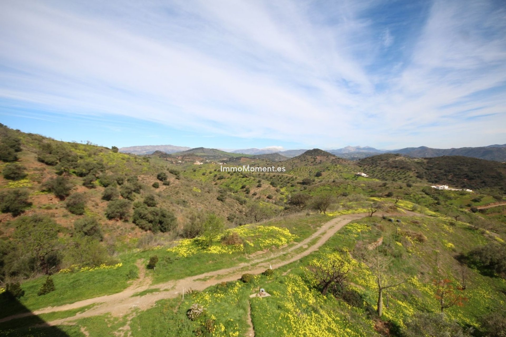 Revente - Maison de campagne - Intérieur                       - Almogía