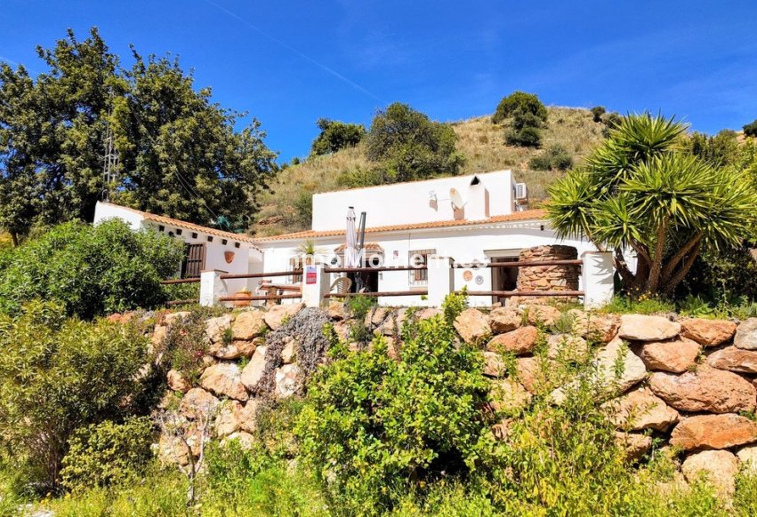 Revente - Maison de campagne - Intérieur                       - Almogía