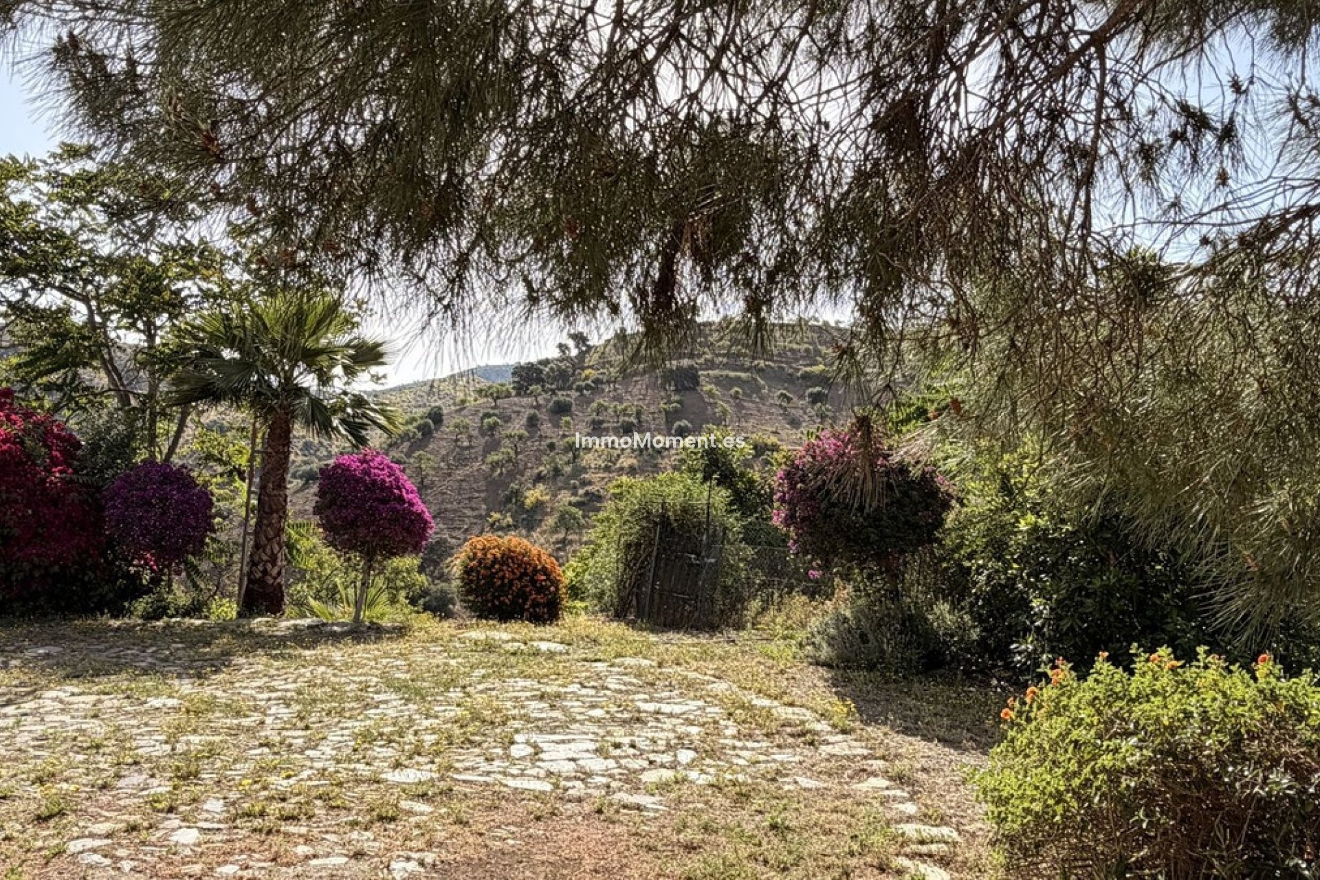 Revente - Maison de campagne - Intérieur                       - Almogía