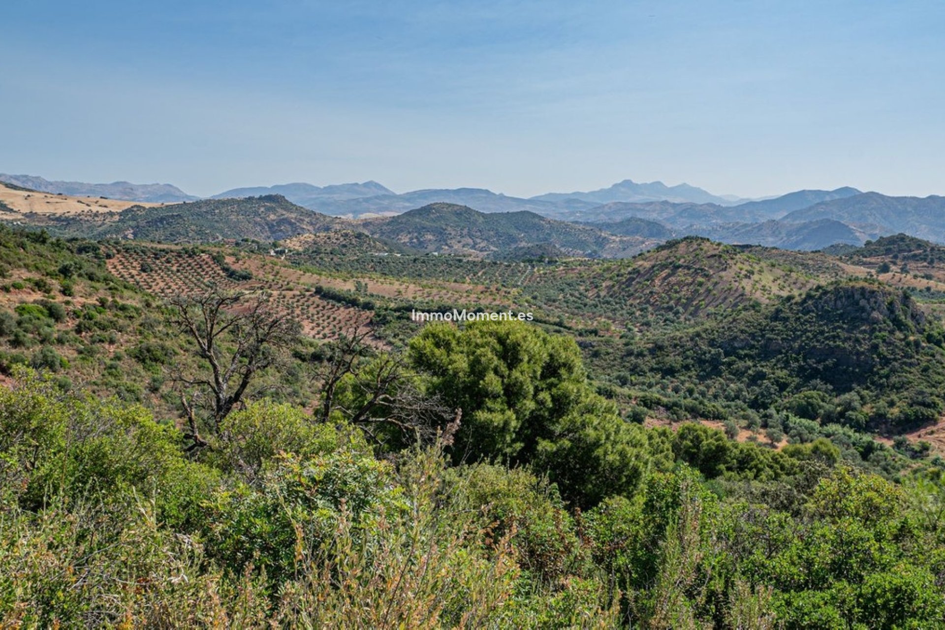 Revente - Maison de campagne - Intérieur                       - Almogía