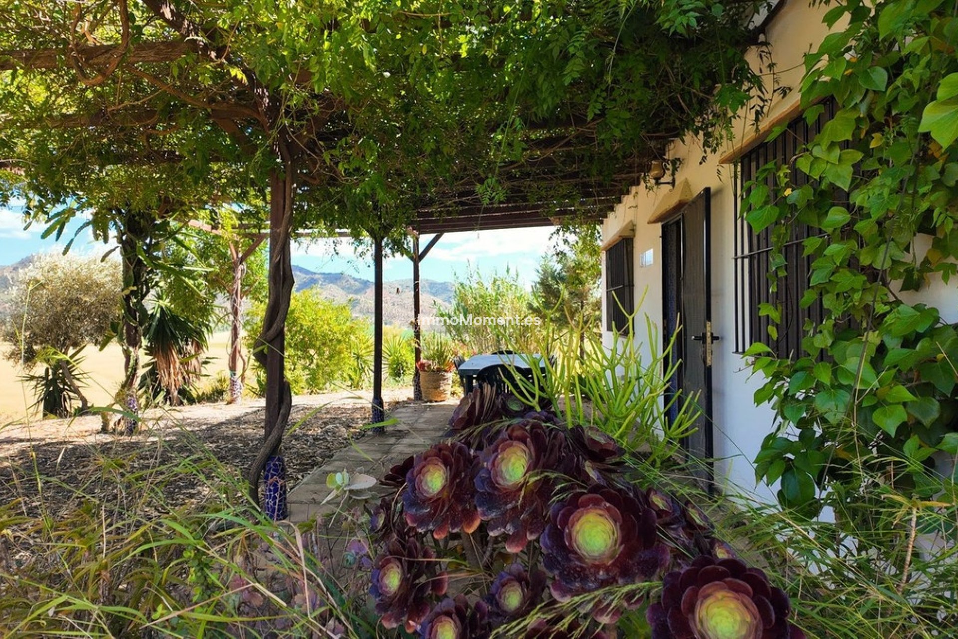 Revente - Maison de campagne - Intérieur                       - Alora
