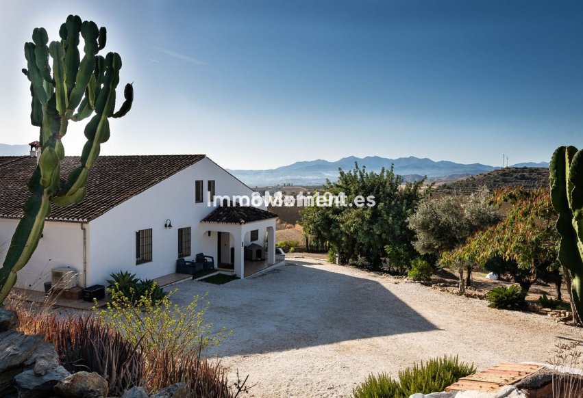 Revente - Maison de campagne - Intérieur                       - Cártama Centro