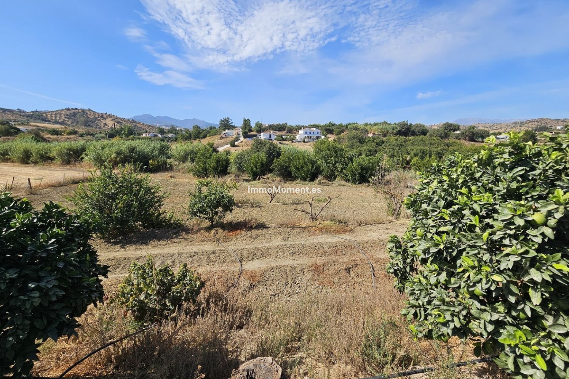 Revente - Maison de campagne - Intérieur                       - Coín