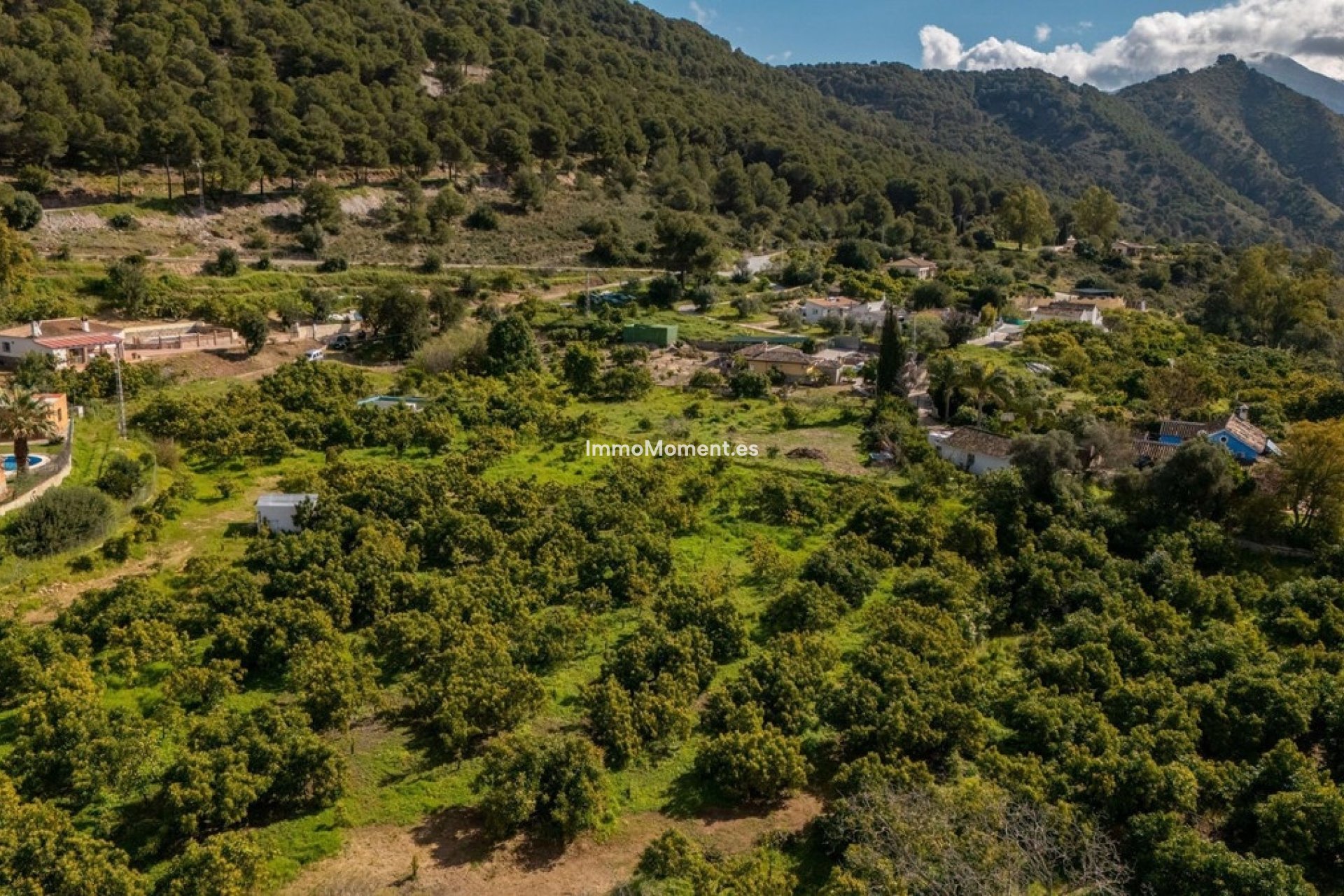 Revente - Maison de campagne - Intérieur                       - Coín