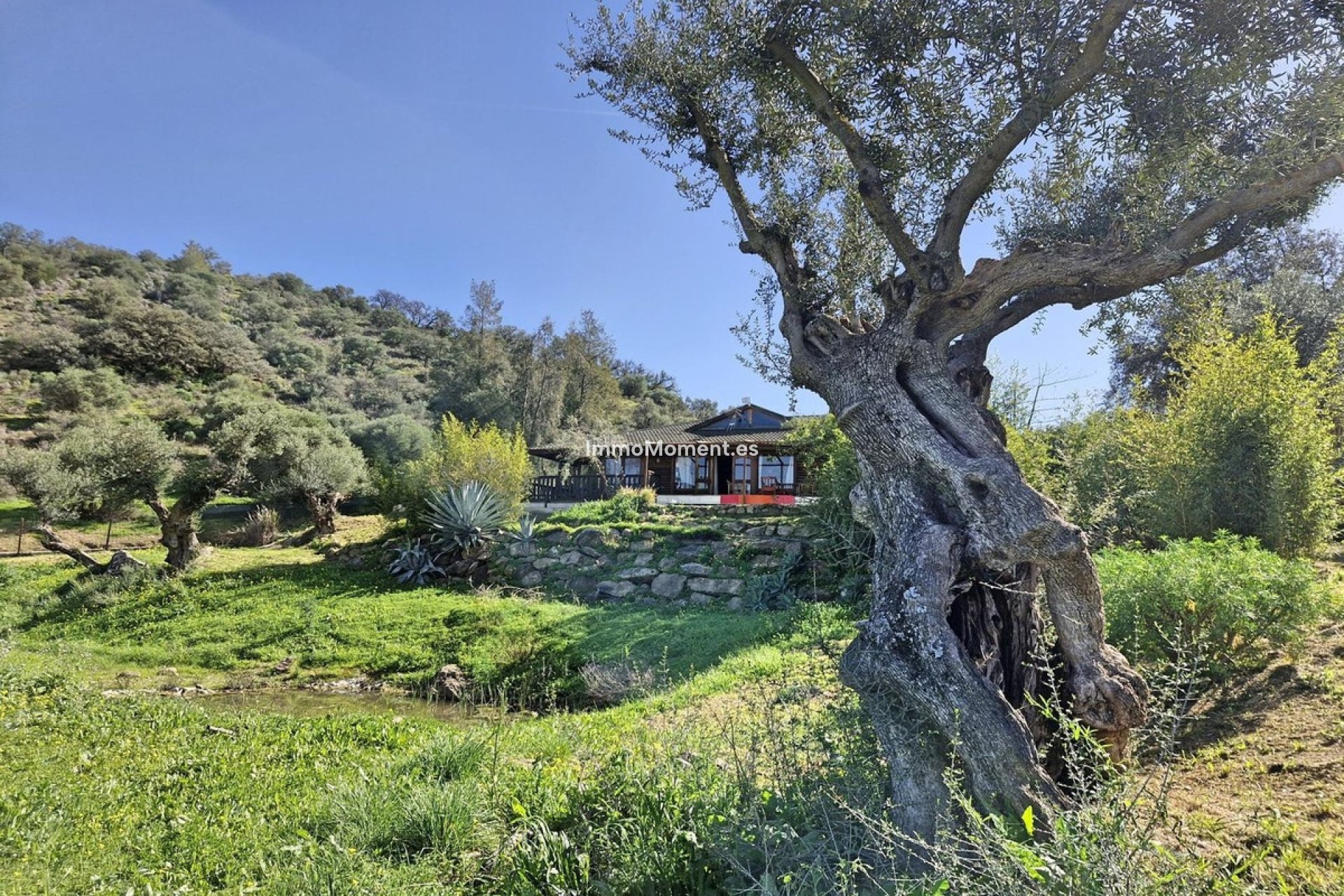 Revente - Maison de campagne - Intérieur                       - Coín