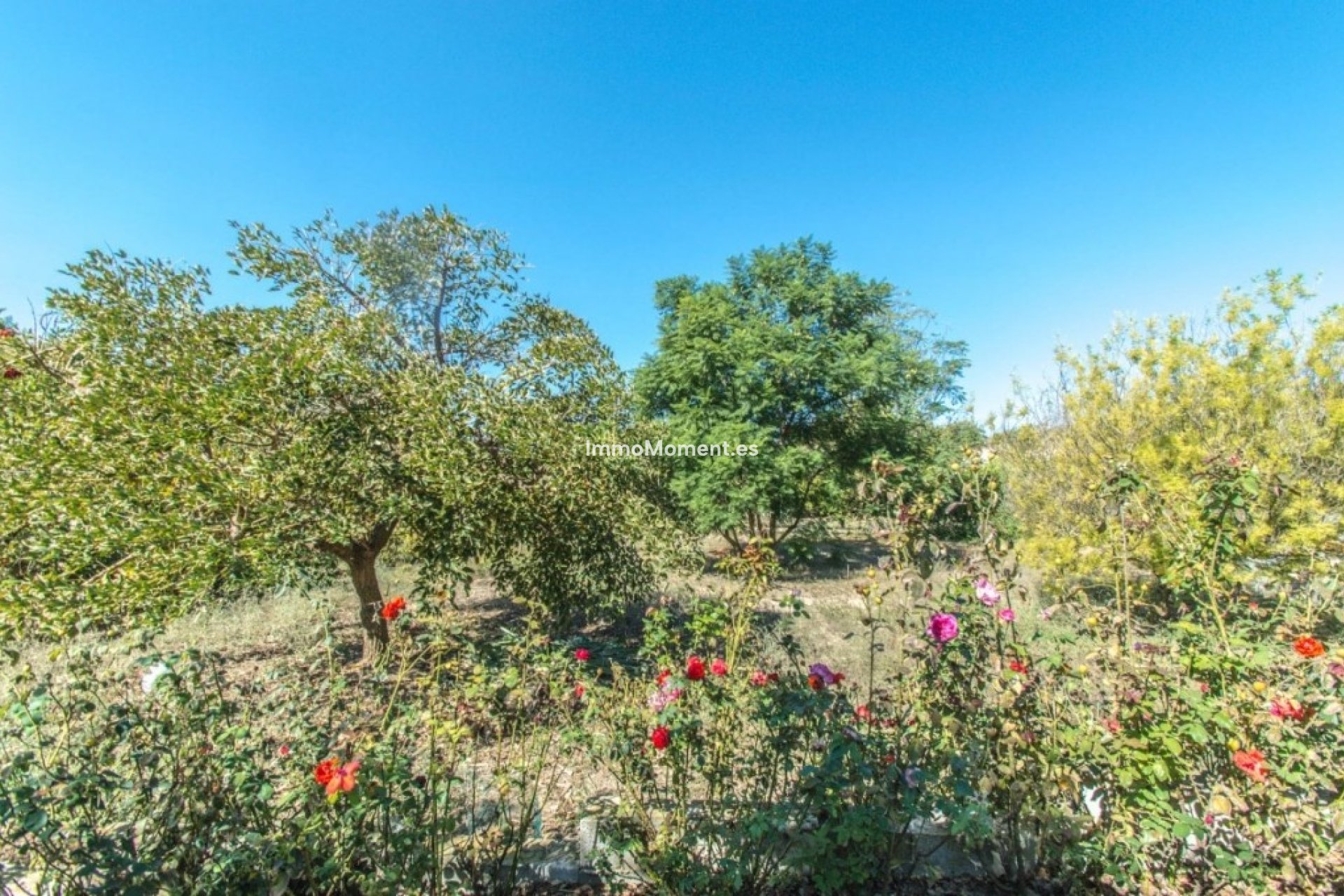 Revente - Maison de campagne - Intérieur                       - Coín