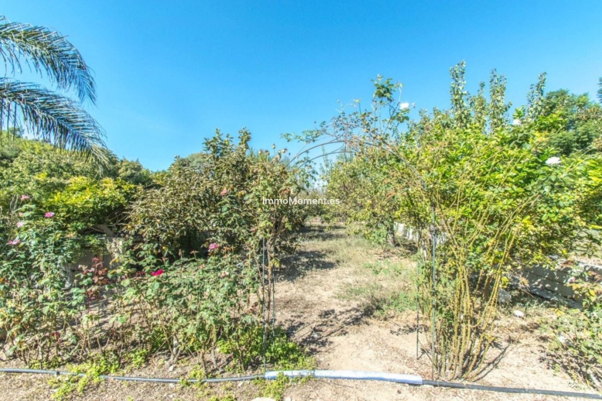 Revente - Maison de campagne - Intérieur                       - Coín