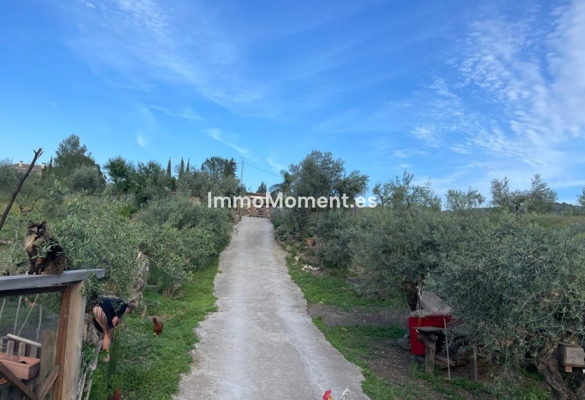 Revente - Maison de campagne - Intérieur                       - Monda