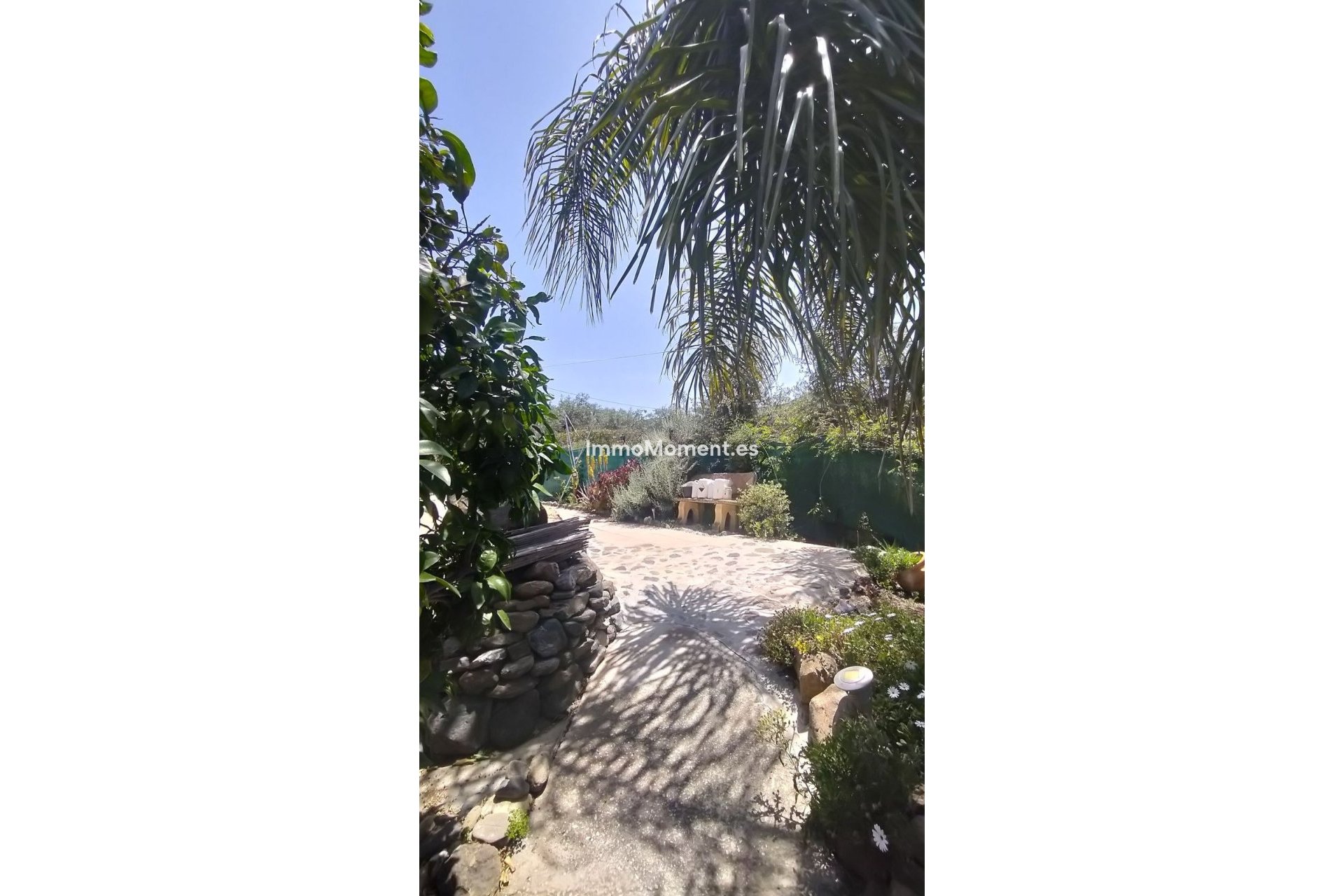 Revente - Maison de campagne - Intérieur                       - Monda