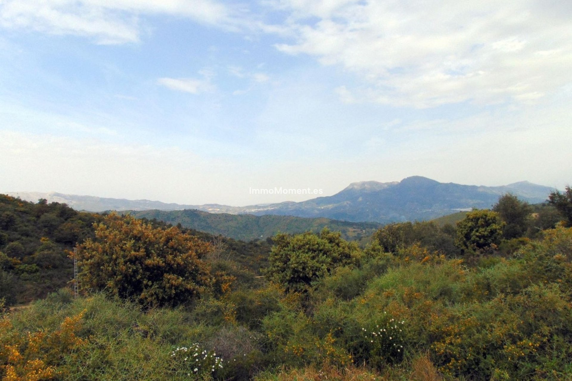 Revente - Maison de campagne - Intérieur                       - Monda