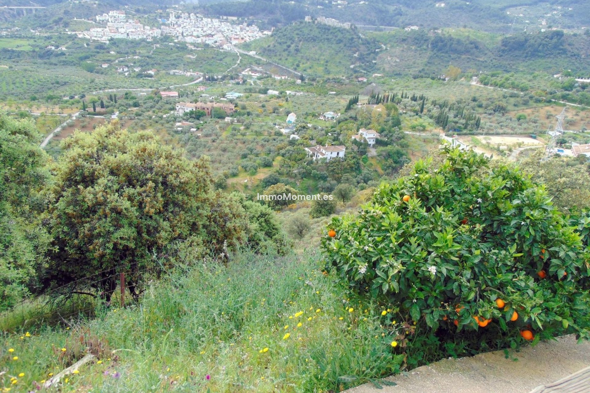 Revente - Maison de campagne - Intérieur                       - Monda