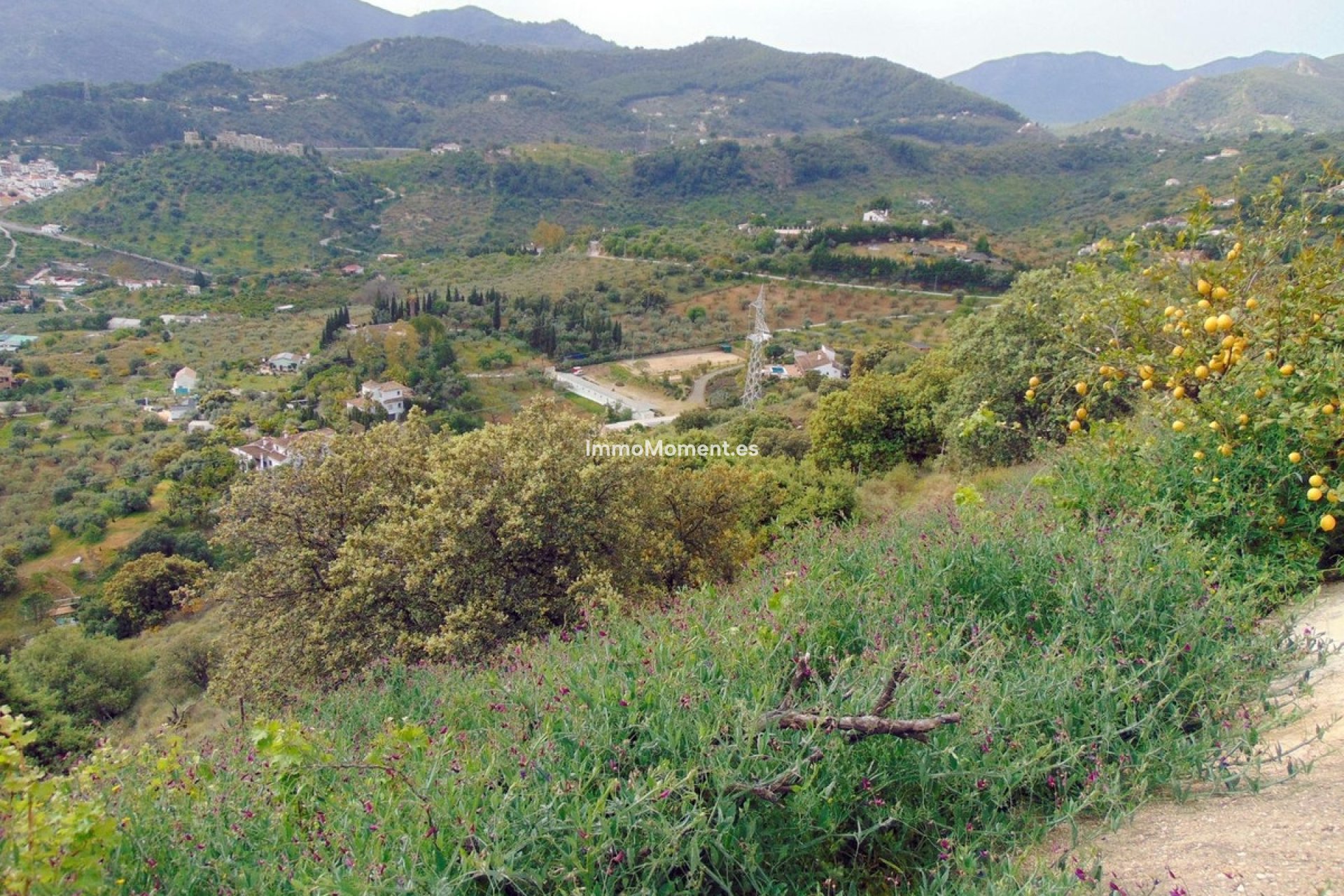 Revente - Maison de campagne - Intérieur                       - Monda
