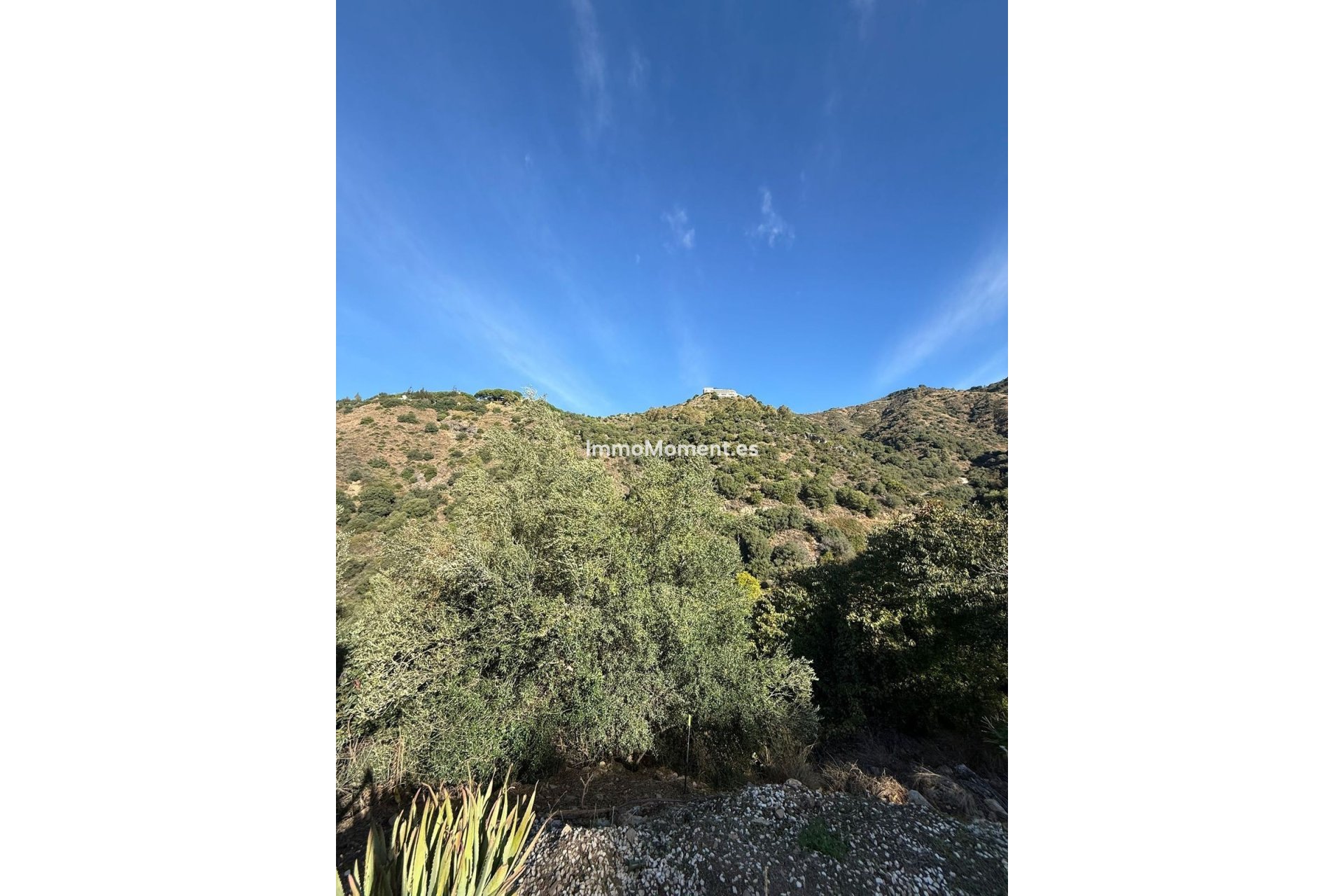 Revente - Maison de campagne - Intérieur                       - Ojén