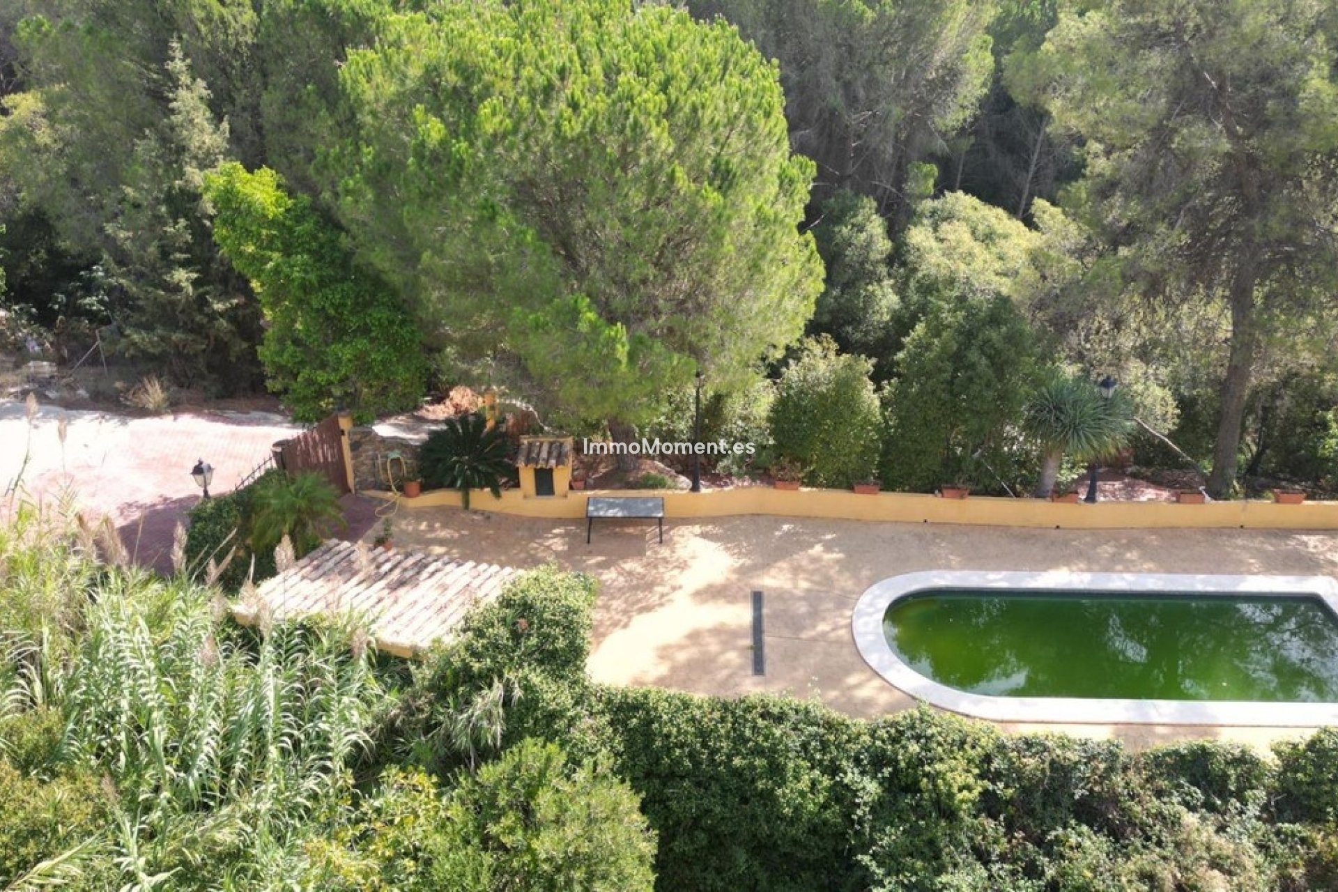 Revente - Maison de campagne - Intérieur                       - Ojén