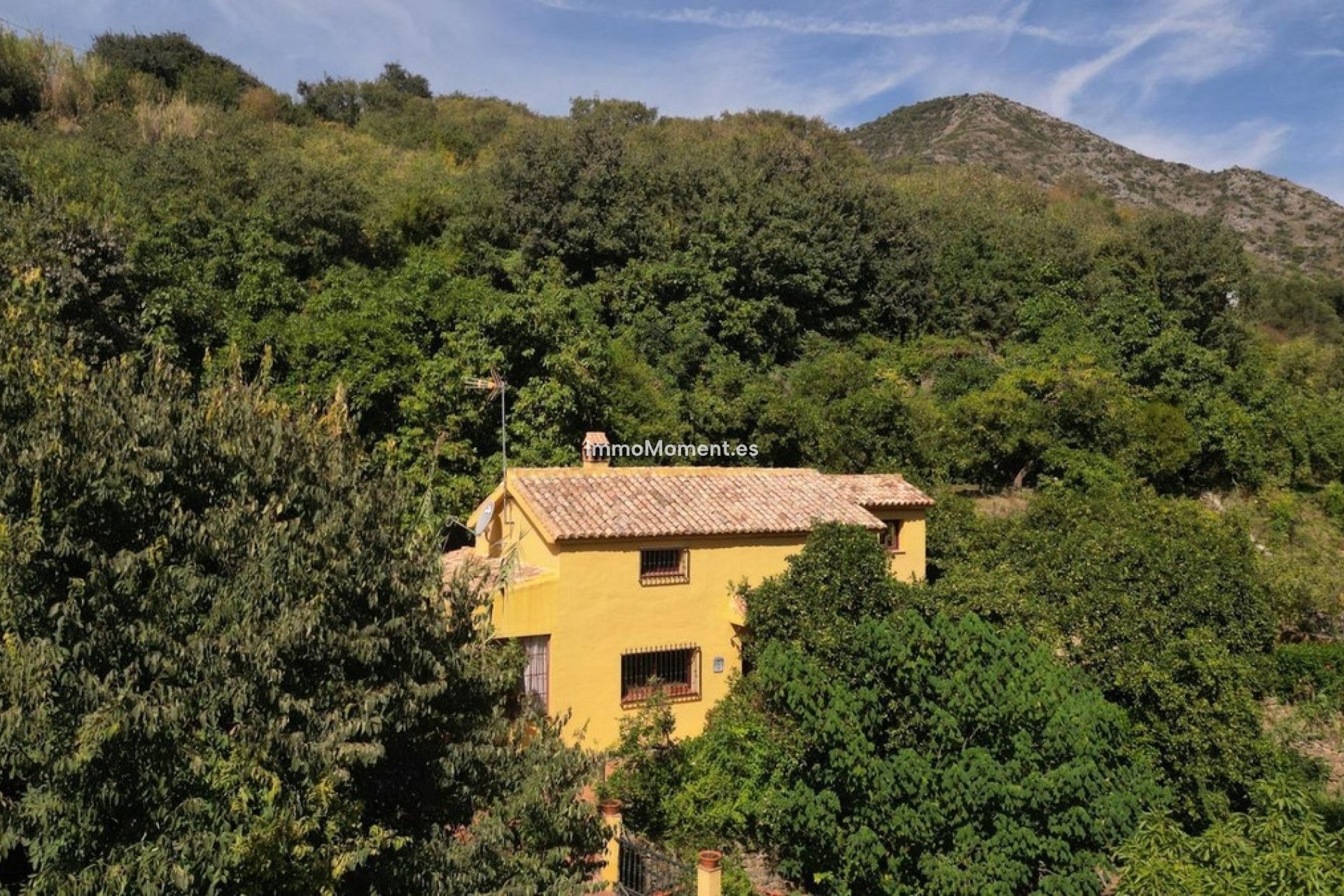 Revente - Maison de campagne - Intérieur                       - Ojén