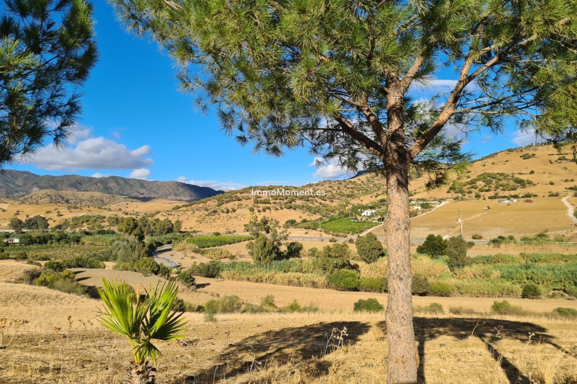 Revente - Maison de campagne - Intérieur                       - Pizarra