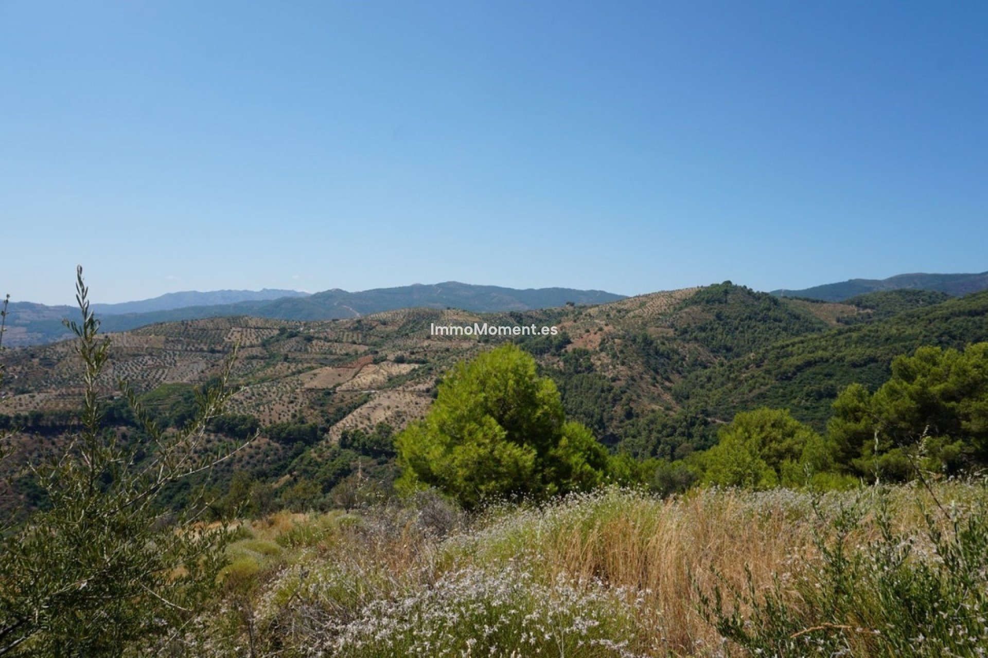 Revente - Maison de campagne - Intérieur                       - Yunquera