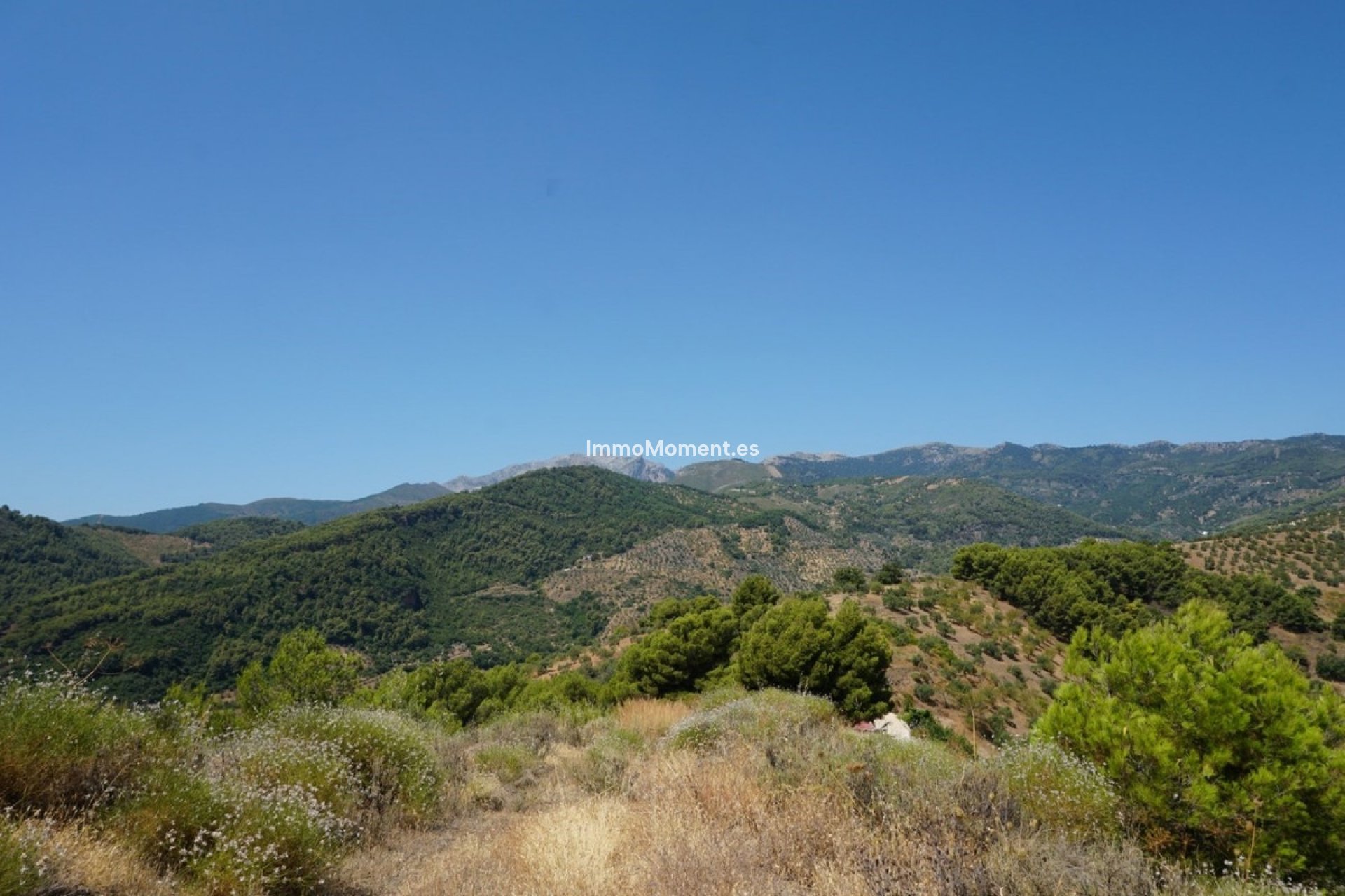Revente - Maison de campagne - Intérieur                       - Yunquera