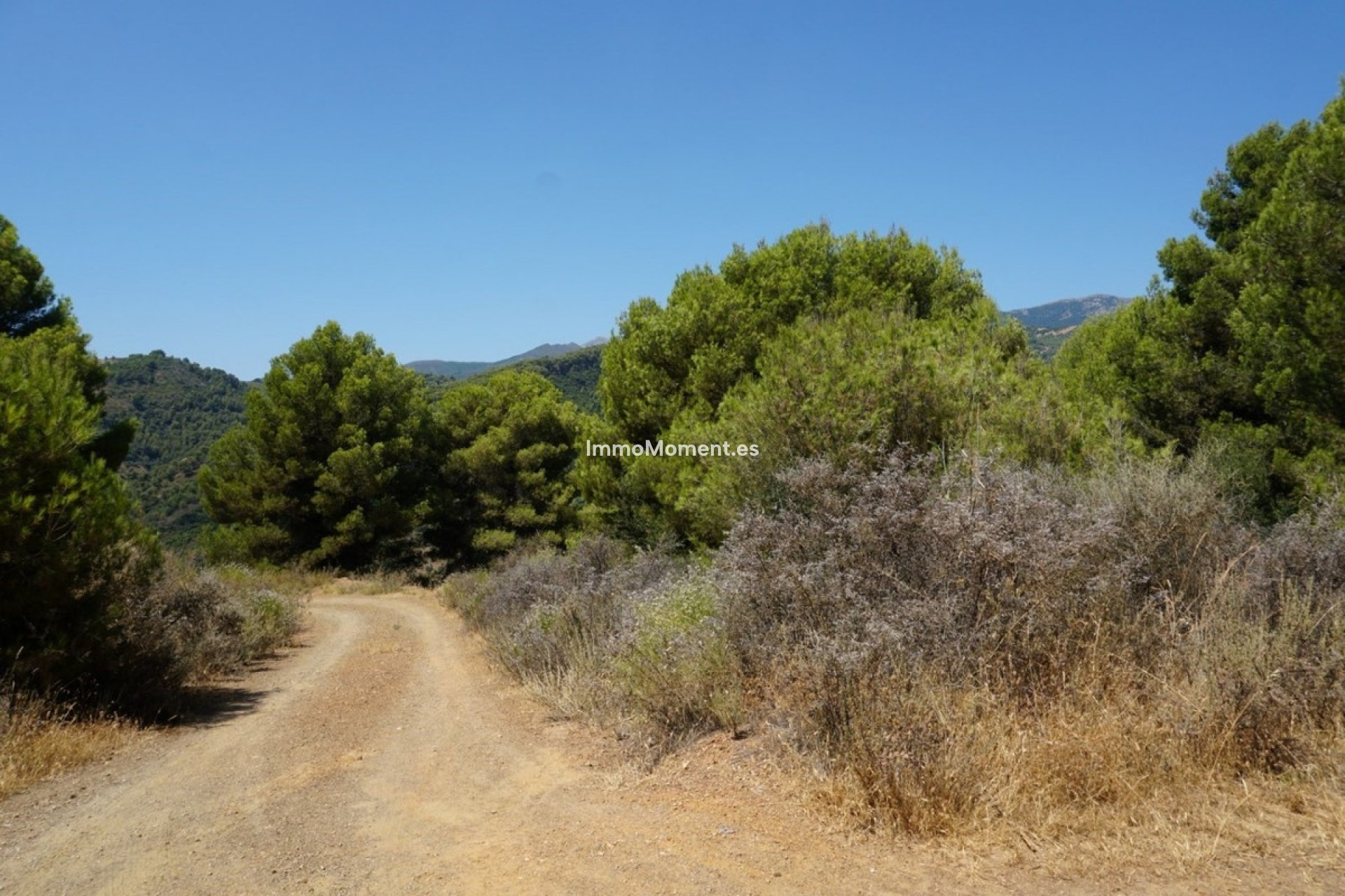 Revente - Maison de campagne - Intérieur                       - Yunquera