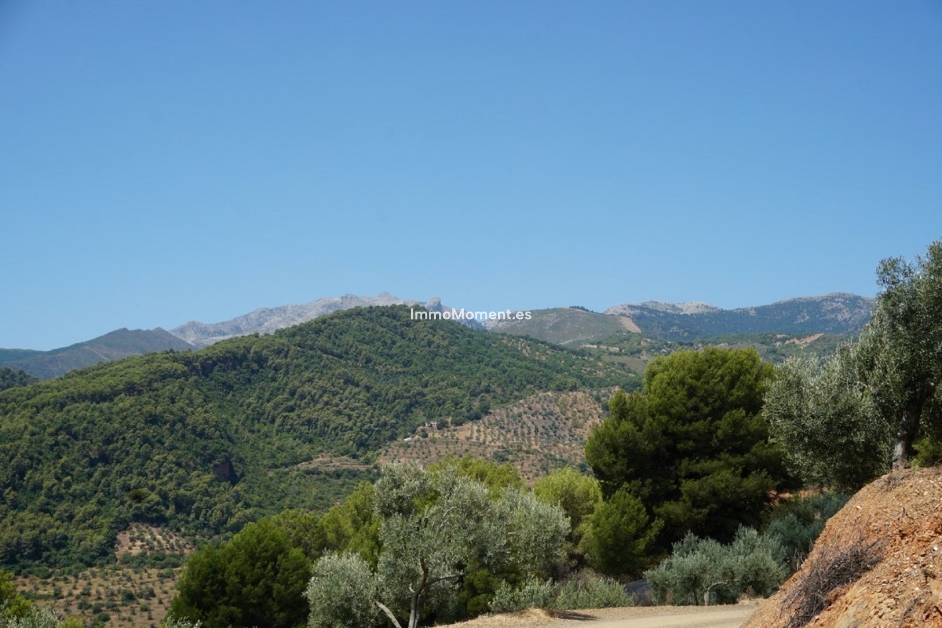 Revente - Maison de campagne - Intérieur                       - Yunquera