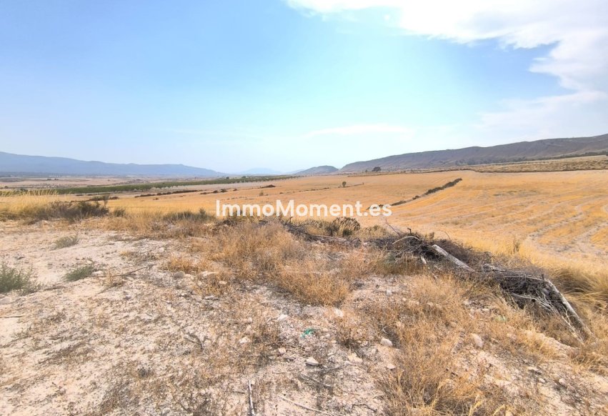 Revente - Maison de campagne - Jumilla - Jumilla Centro