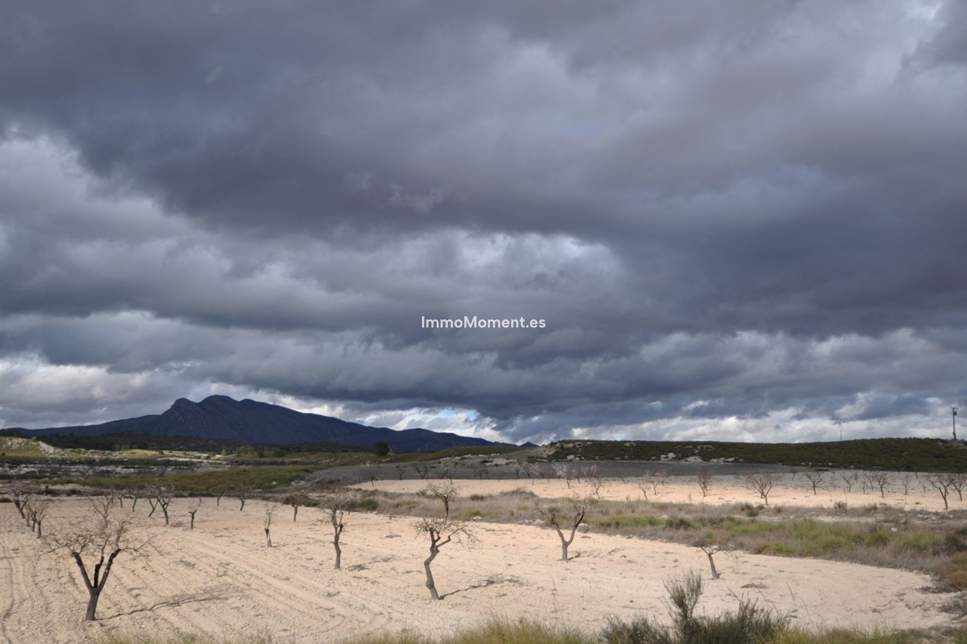 Revente - Maison de campagne - Jumilla - Jumilla Centro