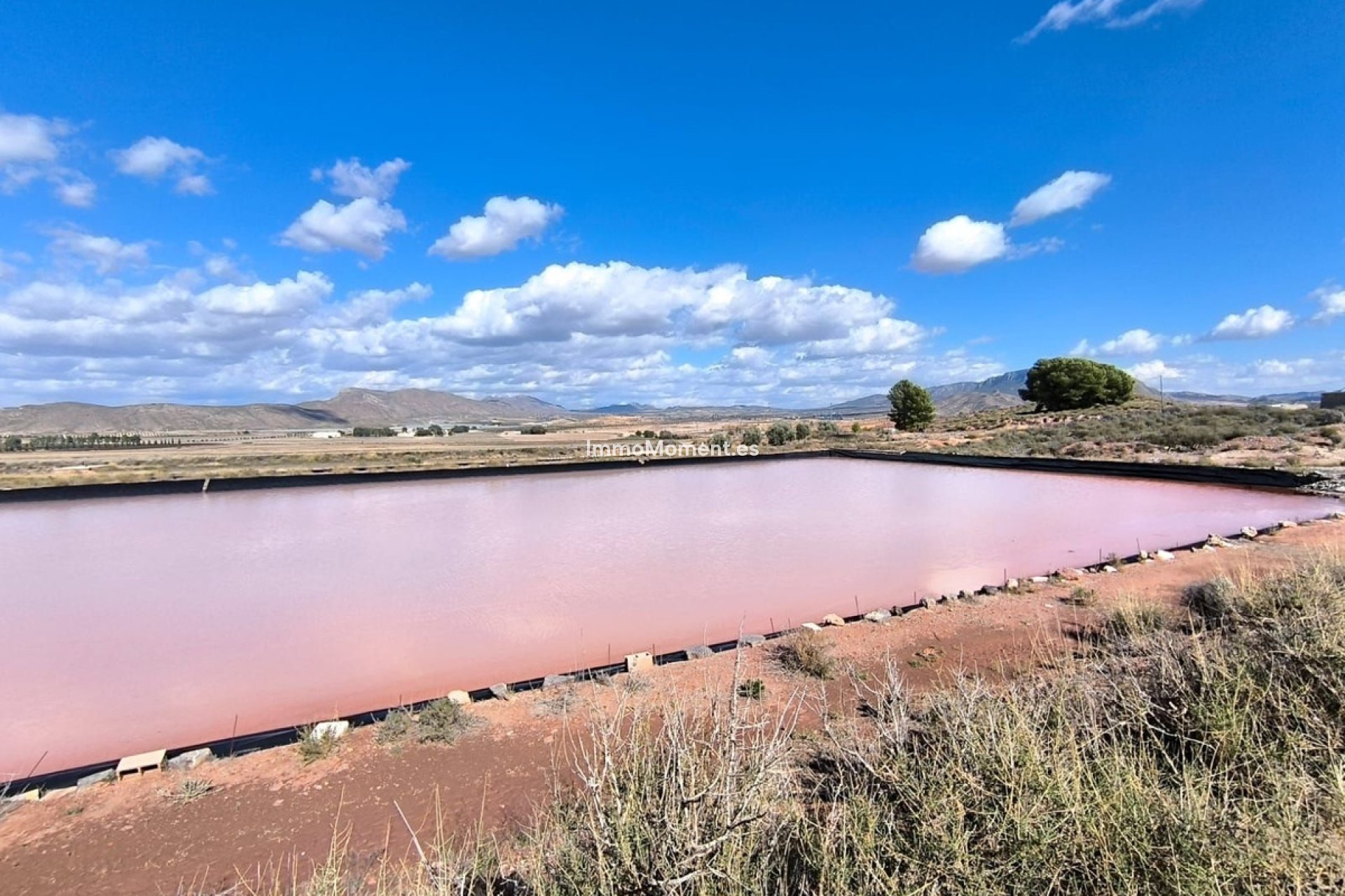Revente - Maison de campagne - Jumilla - Jumilla Centro