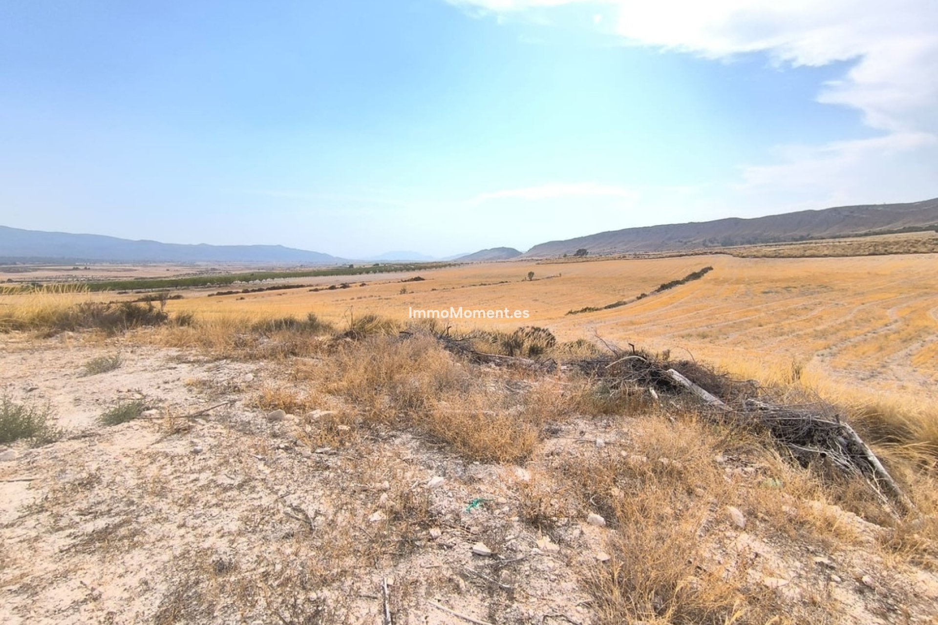 Revente - Maison de campagne - Jumilla - Jumilla Centro