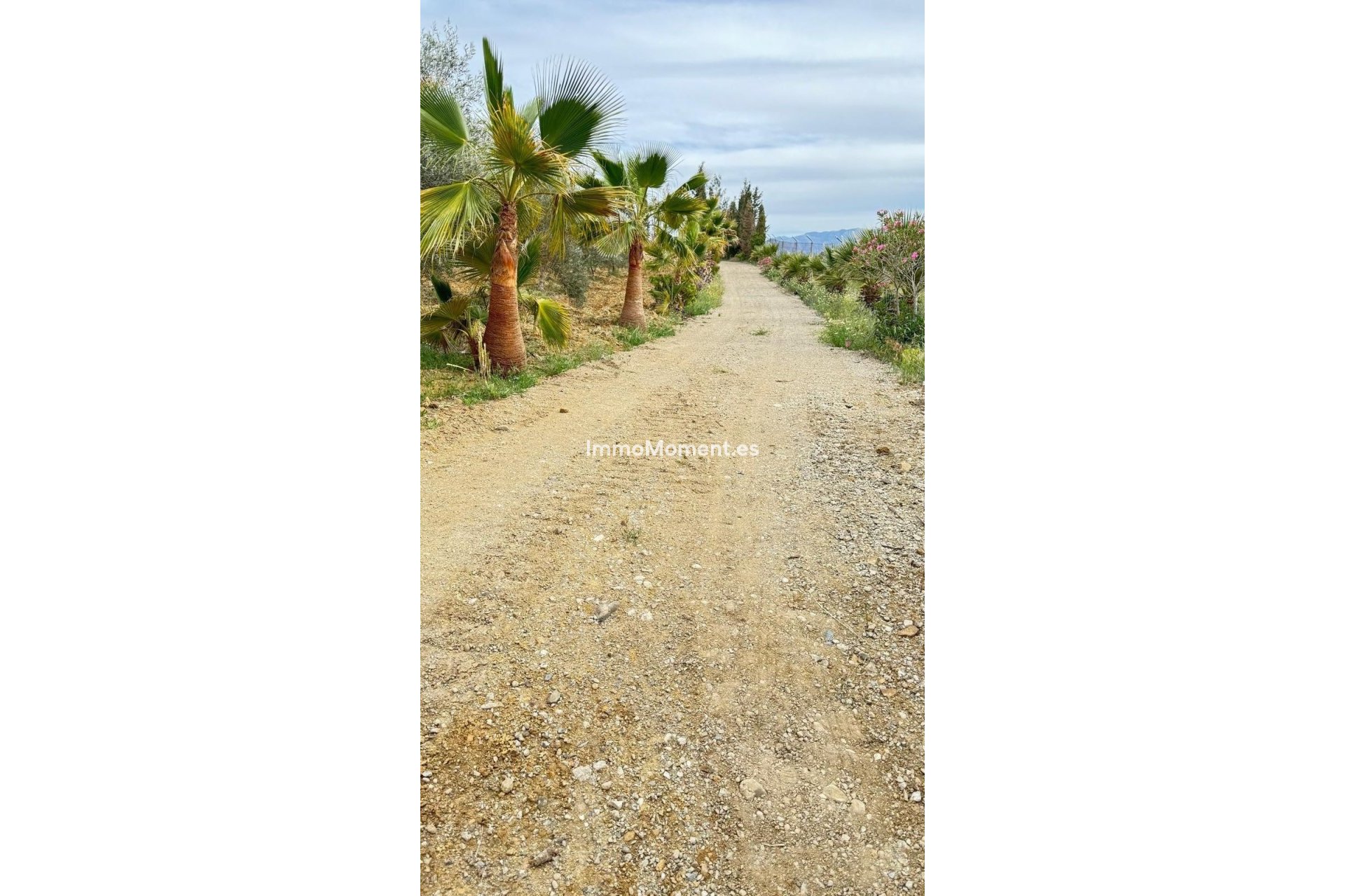 Revente - Maison de campagne - Marbella - Marbella Centro