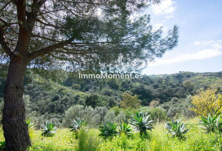 Revente - Maison de campagne - Mijas - La Cala Golf