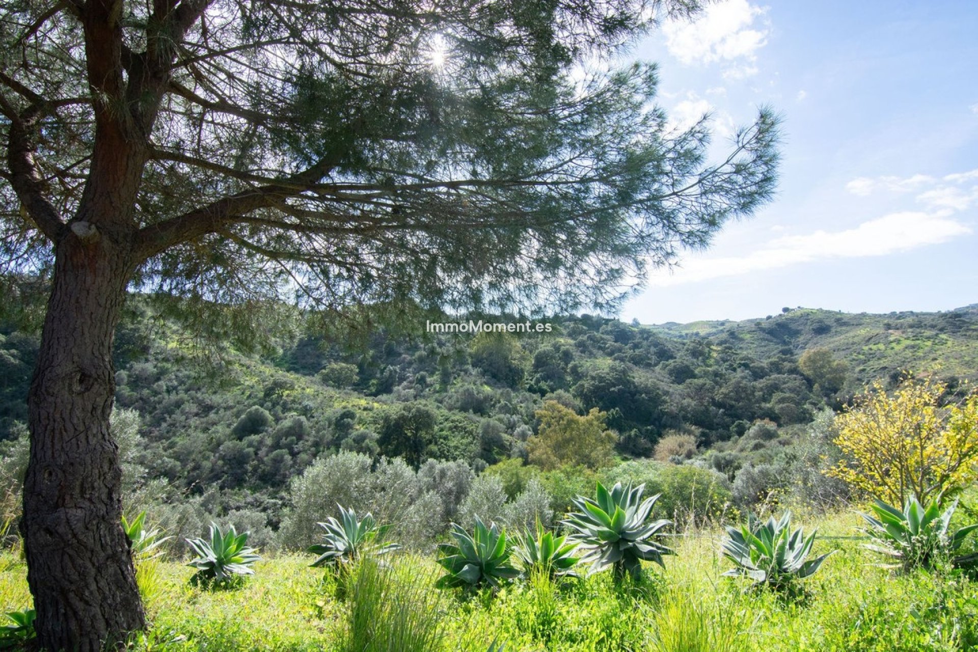 Revente - Maison de campagne - Mijas - La Cala Golf