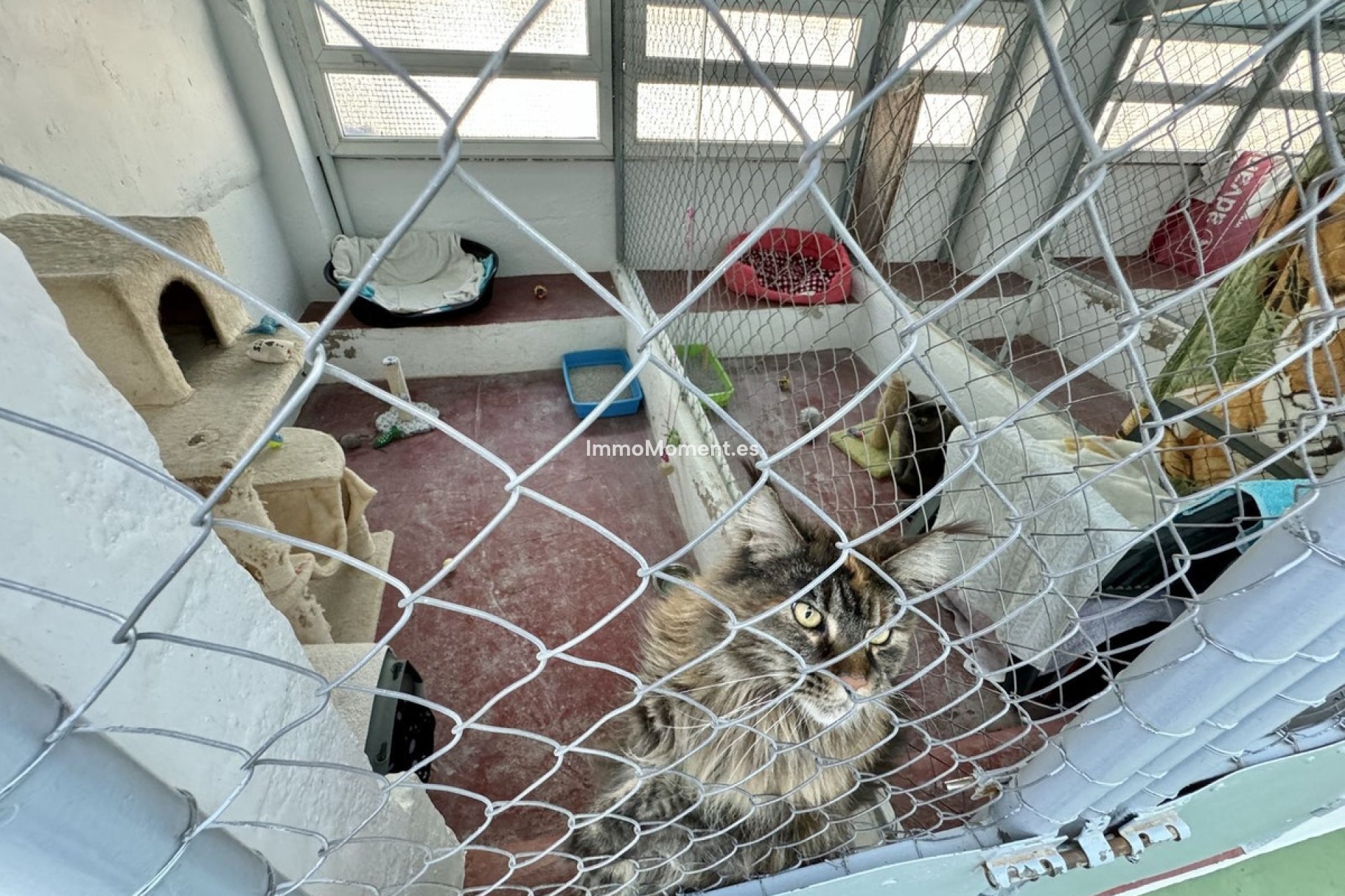 Revente - Maison de campagne - Mijas - Mijas Centro